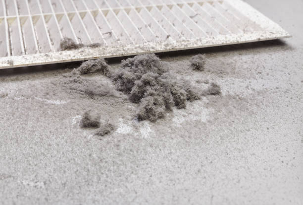 Best HVAC Air Duct Cleaning  in Morrisonvle, IL
