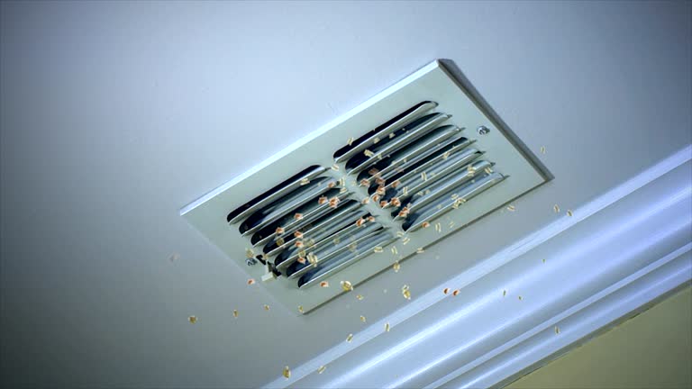 Best HVAC Maintenance and Cleaning  in Morrisonvle, IL