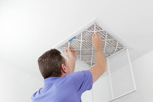 Best Professional Duct Cleaning Services  in Morrisonvle, IL